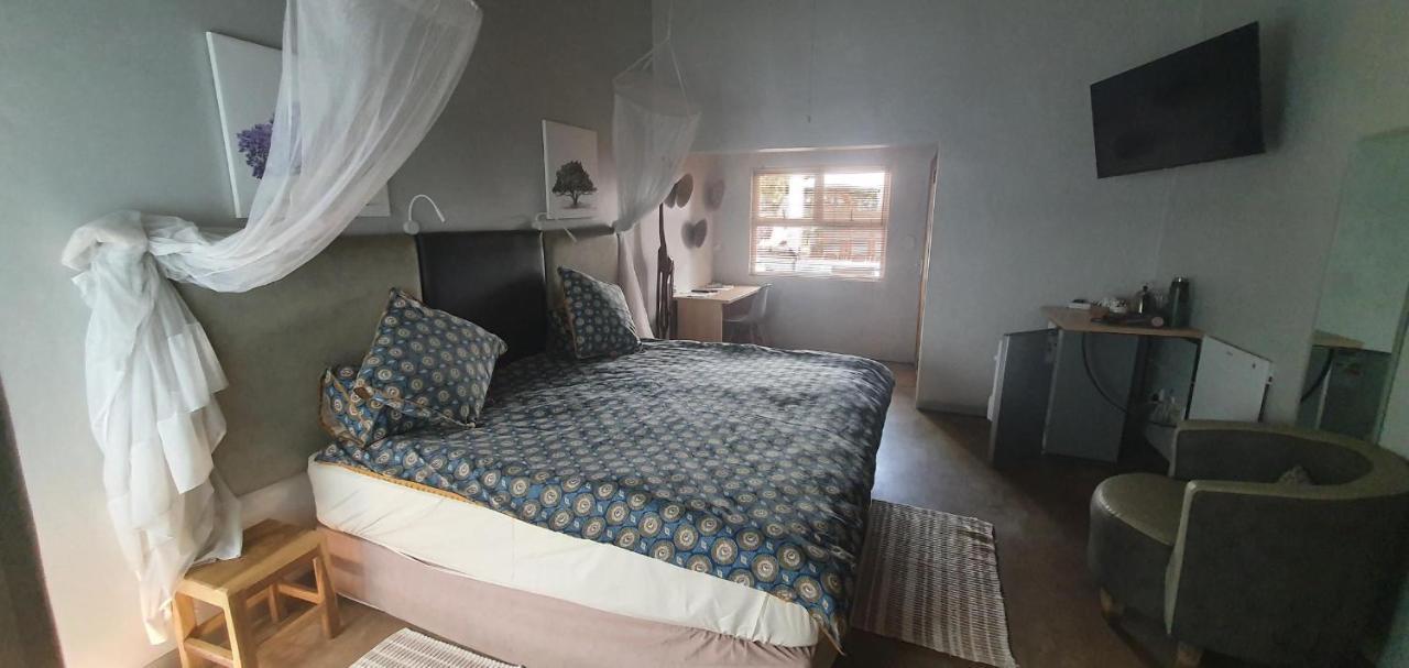 Vondelhof Guesthouse Windhoek Kültér fotó